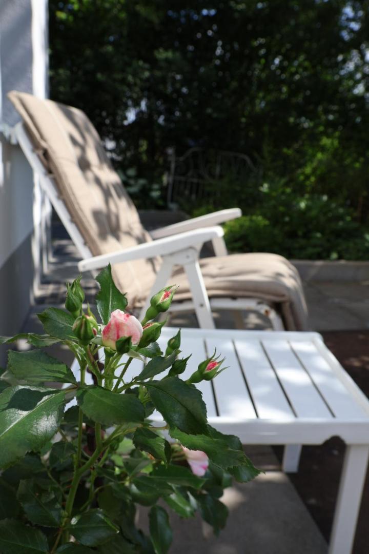 Ferienwohnung Sonnenschein Fulda Exteriör bild